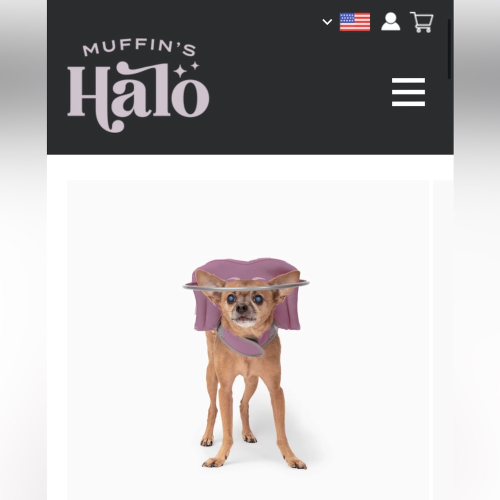 Muffin’s Halo Guide for Blind dogs  - size 3 - pink